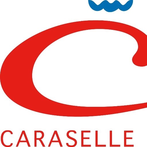 20% Off Storewide (minimum Order $20) at Caraselle Direct Promo Codes